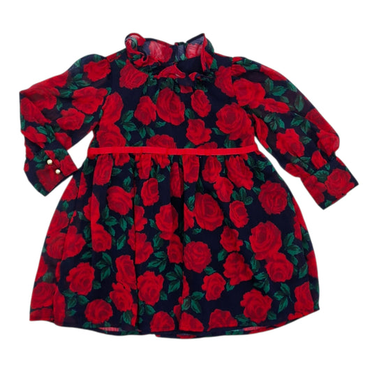 Vestido manga larga de flores — Talla 18 a 24 meses | Usado