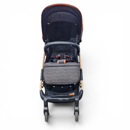 Coche Paseador Fisher Price Tipo Maleta — Recomendado hasta 3 Años | Usado
